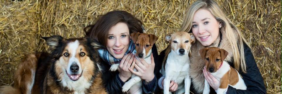 5Buckley's profile banner image