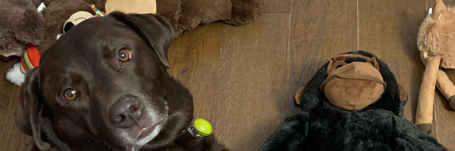 harrycooperr's profile banner image
