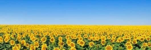 atj68's profile banner image