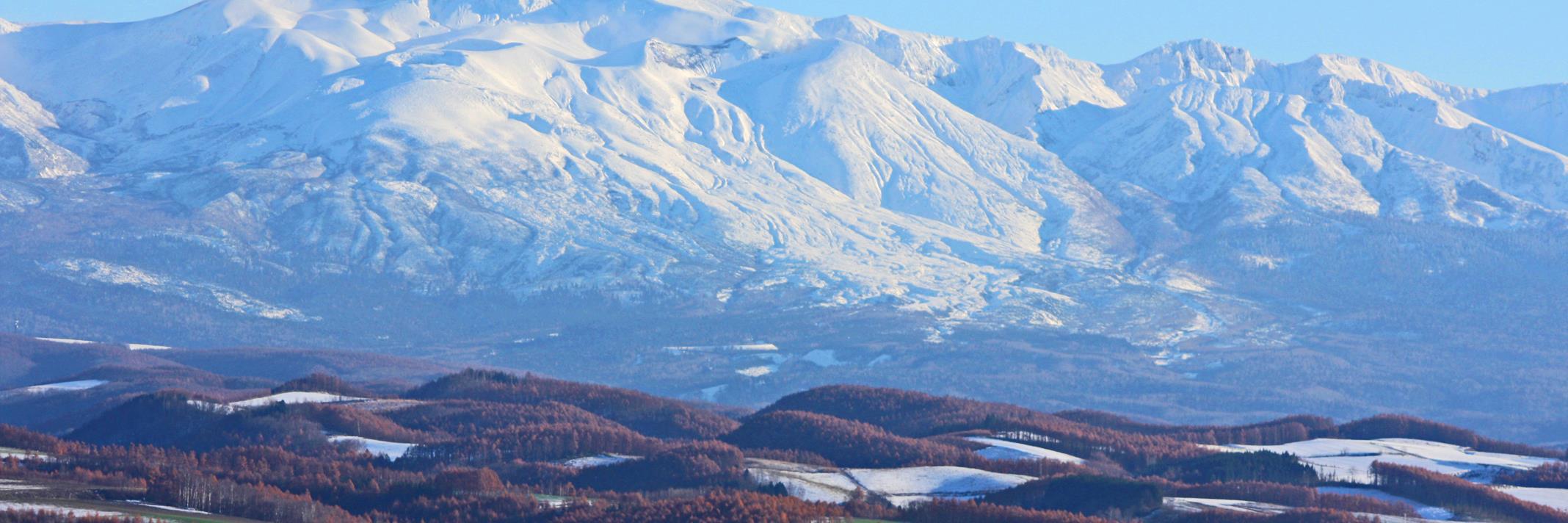 レイトン0 banner