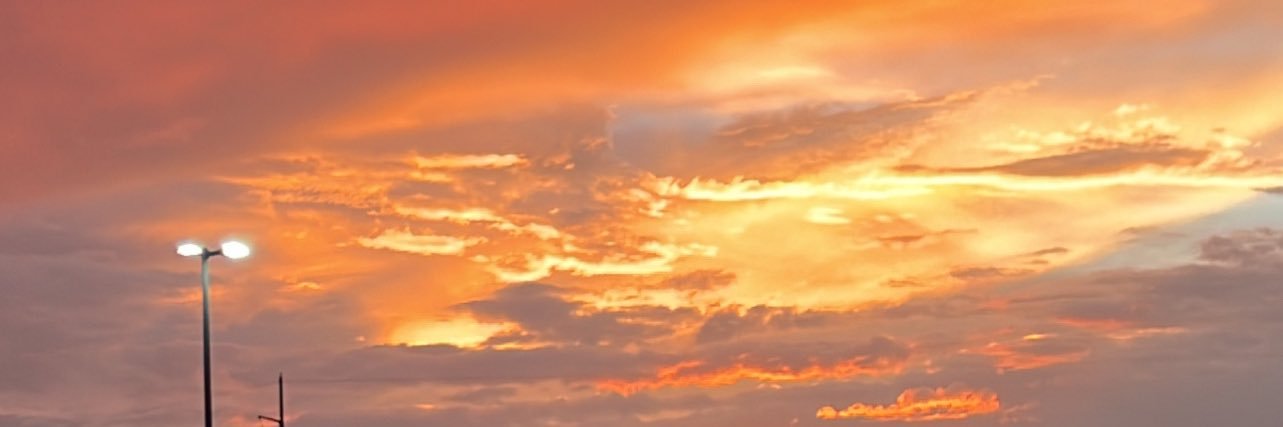 beeee_789's profile banner image