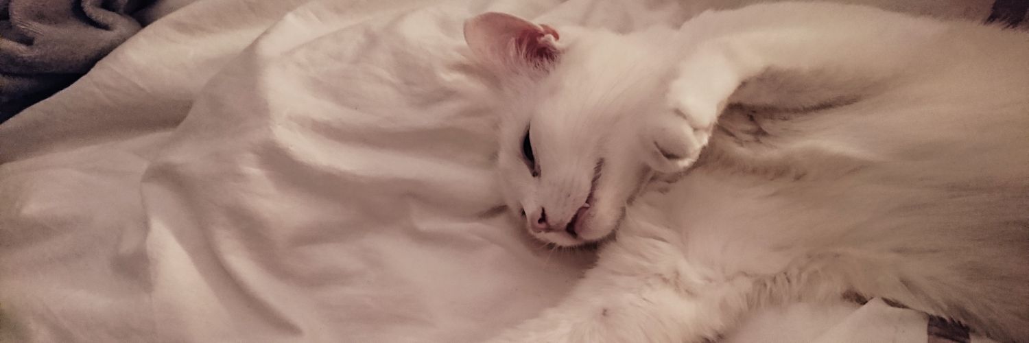 clmtrt's profile banner image