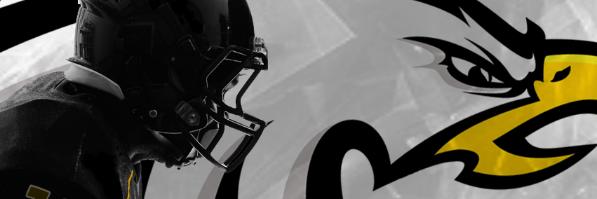 guceagles's profile banner image
