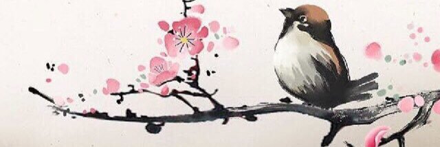 sndrellla's profile banner image