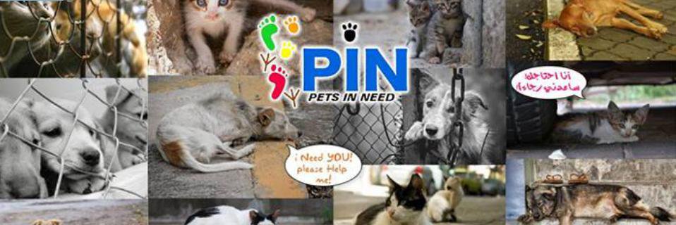 Pets In Need banner