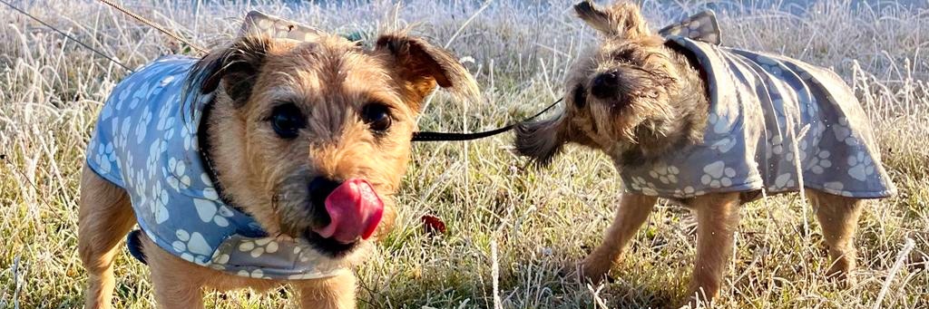 PEGGY🌈 NELLY AND BERTIE xxx banner