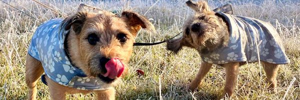 witchymoo Profile Banner