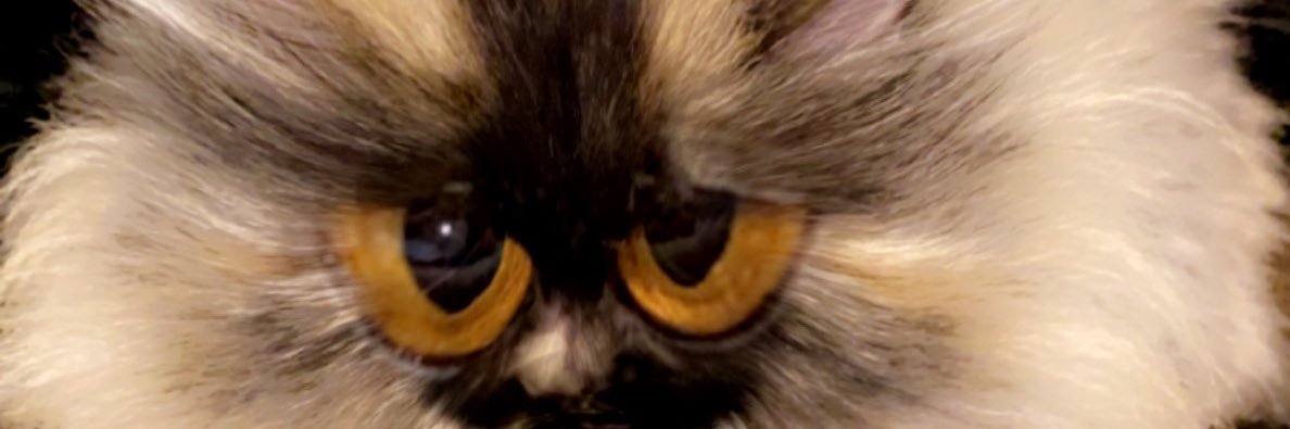 DN0oo's profile banner image