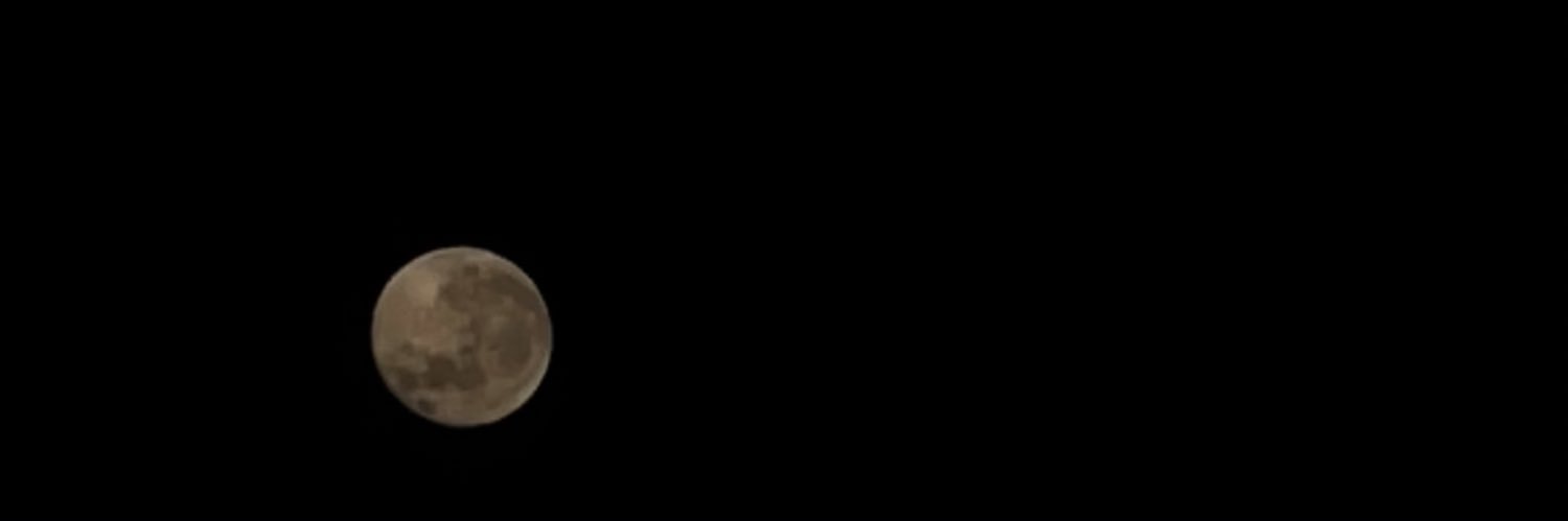 هاجر الزيداني ❆ banner