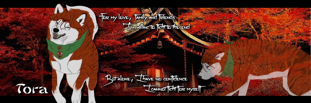 Tora Collita 虎コリタ banner