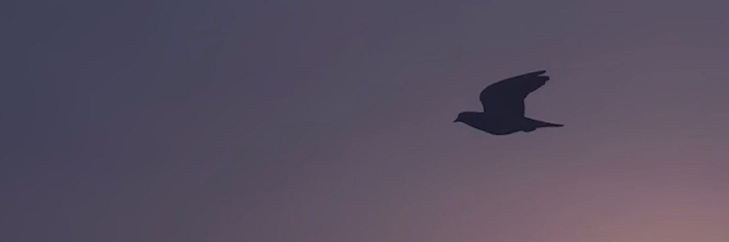 sndsyar's profile banner image