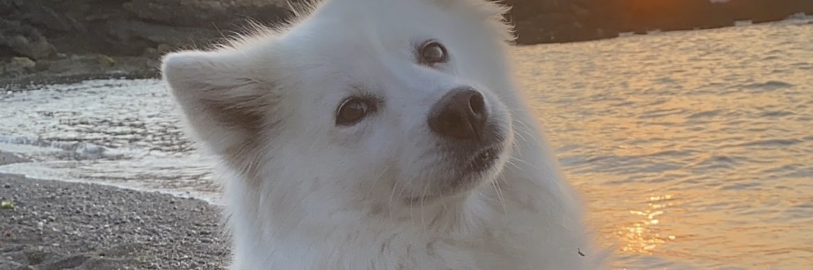 SoyUnPandaRojo's profile banner image