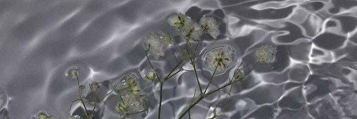 _ciaraoliver's profile banner image