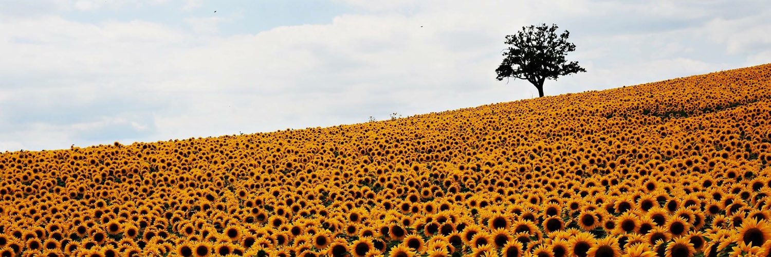 BibiVivy's profile banner image