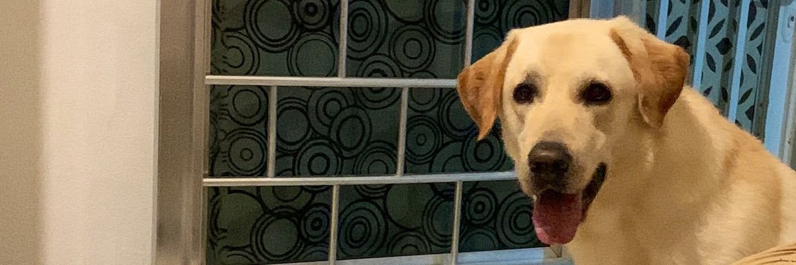 lipefidelle's profile banner image