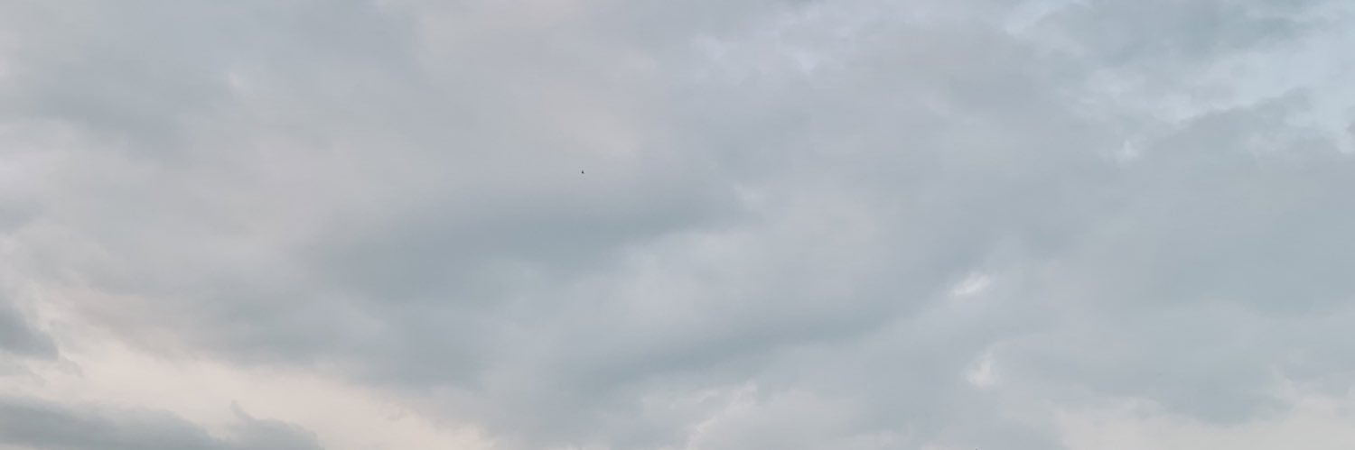febriyanizulian's profile banner image