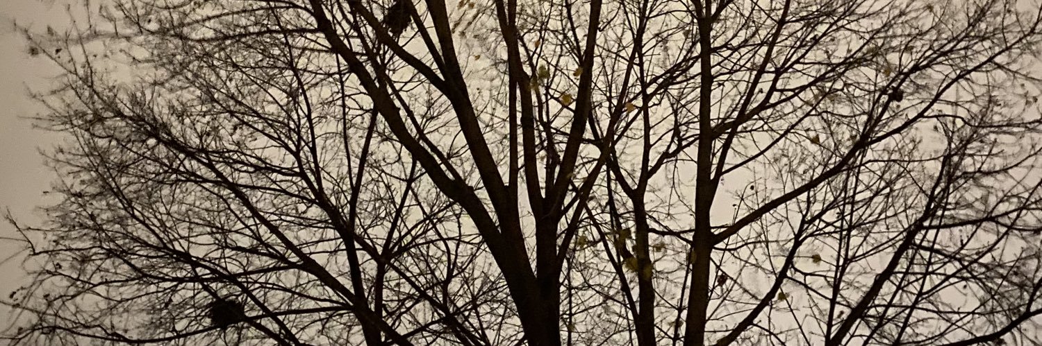ErichFox's profile banner image