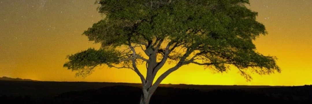 kukrek99's profile banner image