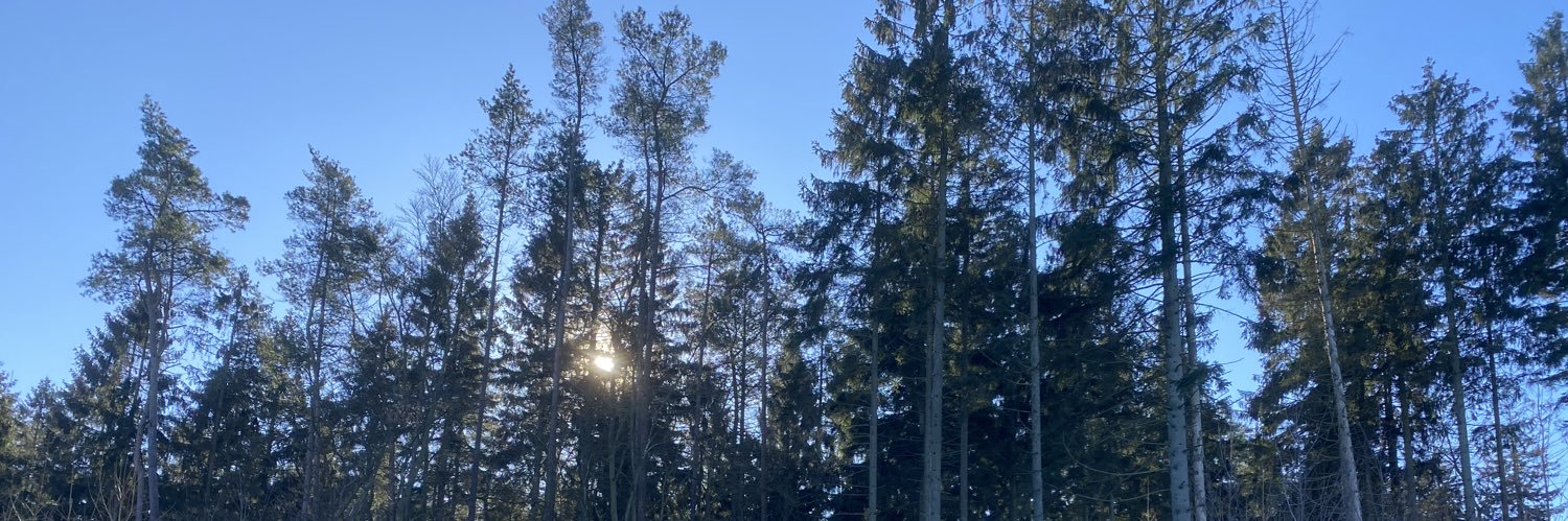 George Morrison banner