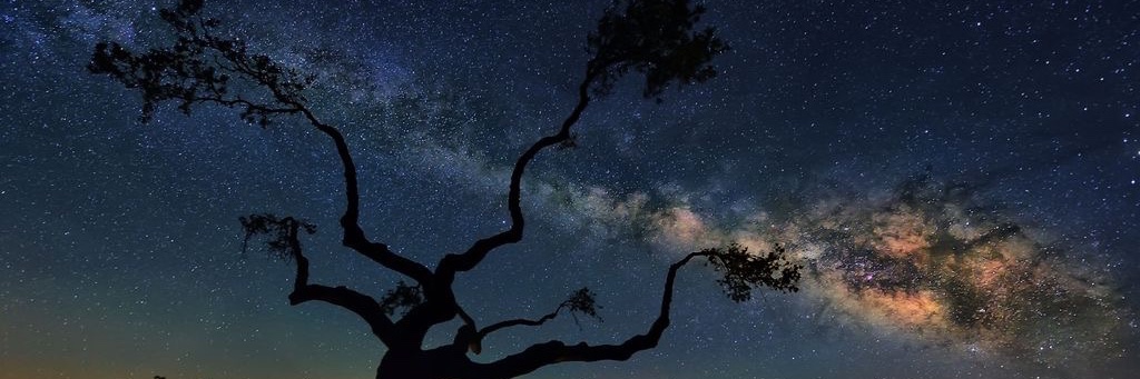 petitzob's profile banner image