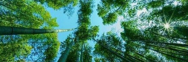 maestro2012 Profile Banner