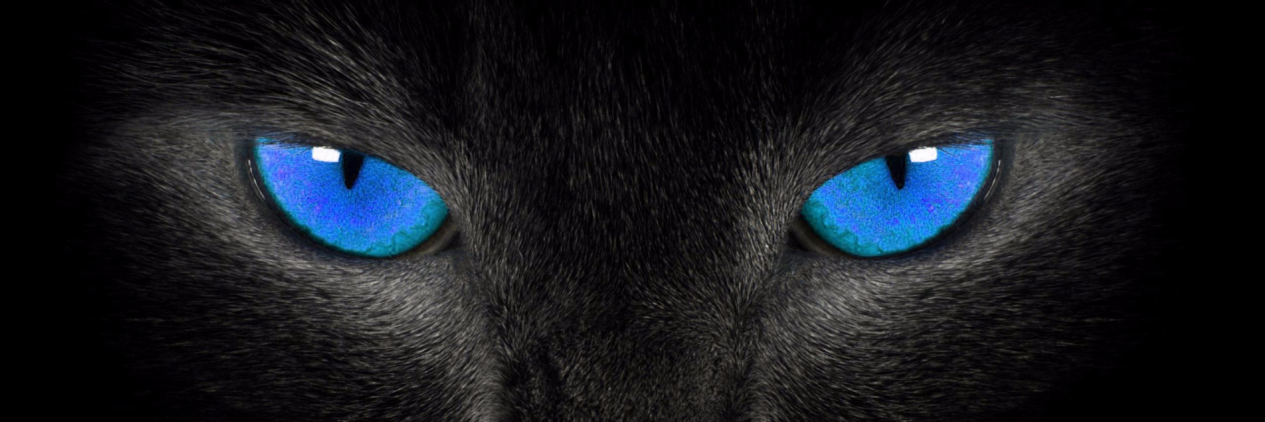 evamescal's profile banner image
