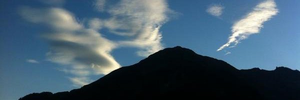 letterline's profile banner image