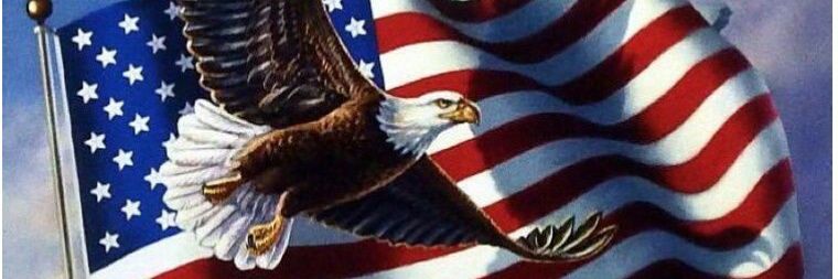 BigBrotherNut's profile banner image