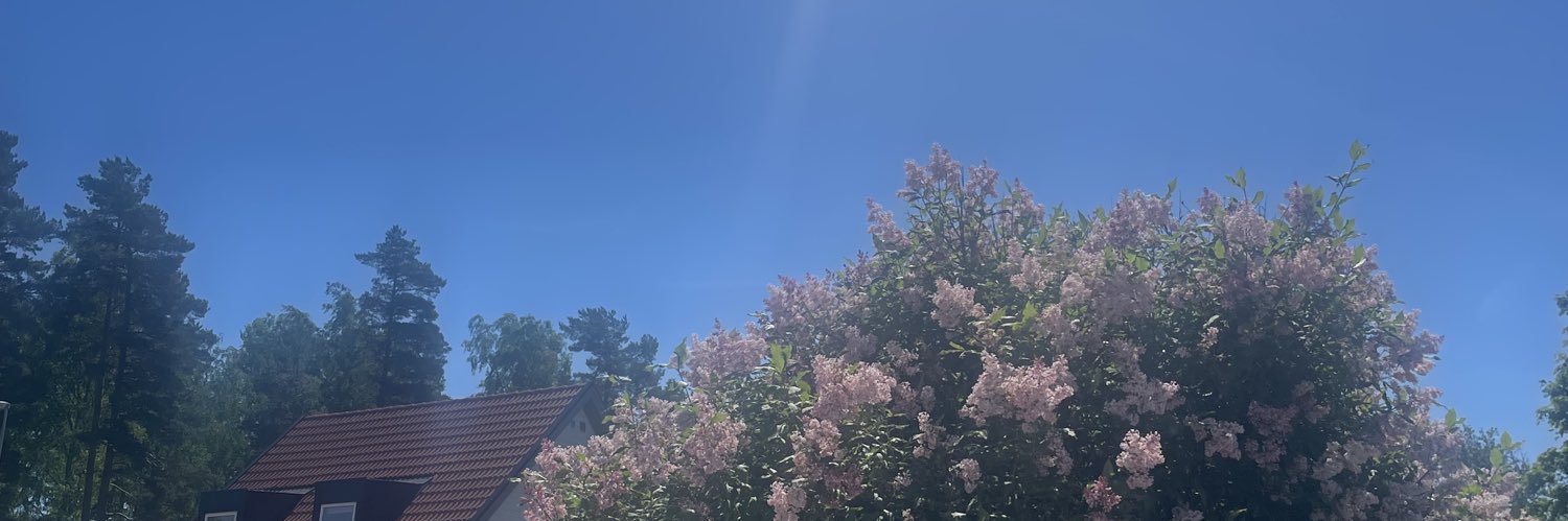 ari69tiu's profile banner image