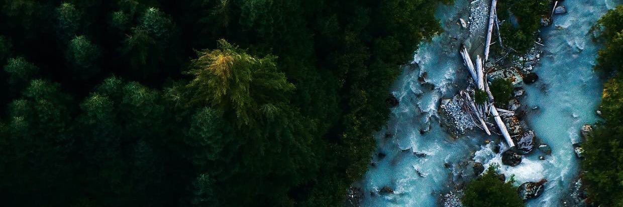 KizzieBerry's profile banner image
