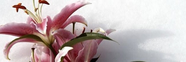 j1977ae's profile banner image