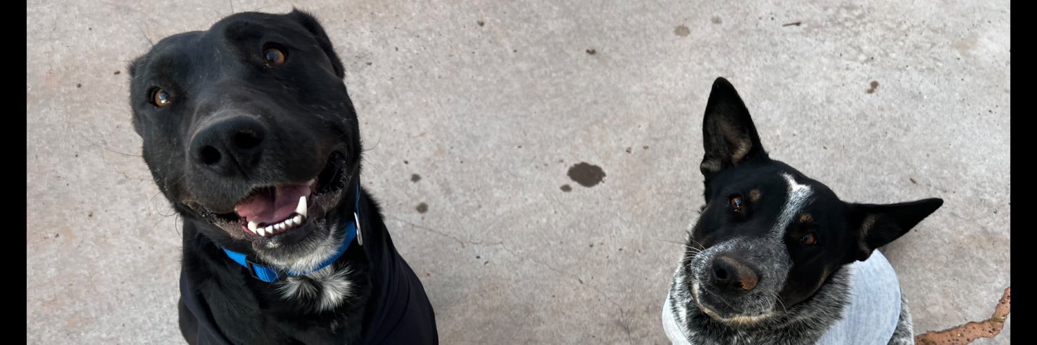 mrsblkmamba's profile banner image