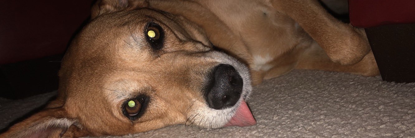 dont_HARM_me's profile banner image