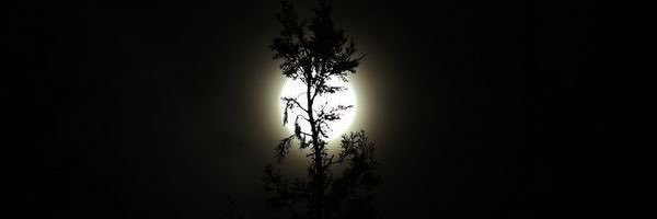 AbdullahAL_yahy's profile banner image