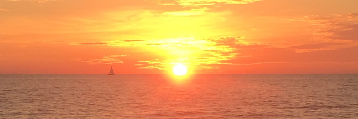 minirilla's profile banner image