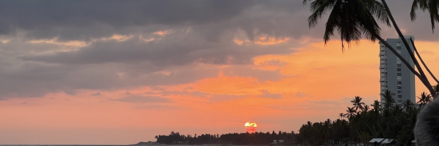 saracastan0's profile banner image