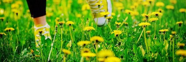 Maiynaa Profile Banner