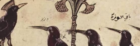 AlanSante's profile banner image