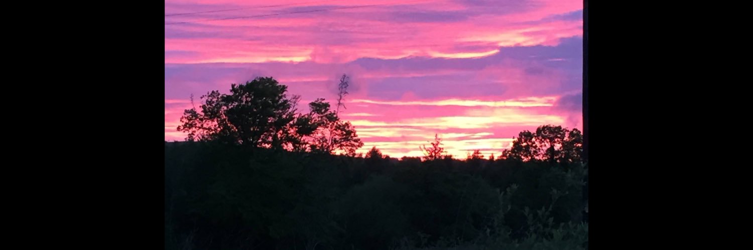 Dr Gráinne Mulcahy banner