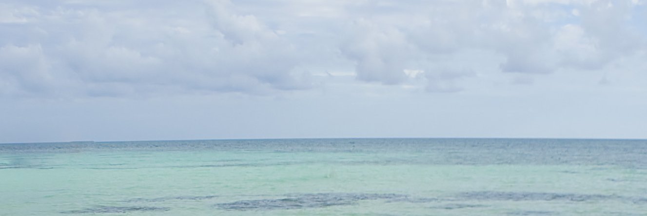 shelly_simms's profile banner image