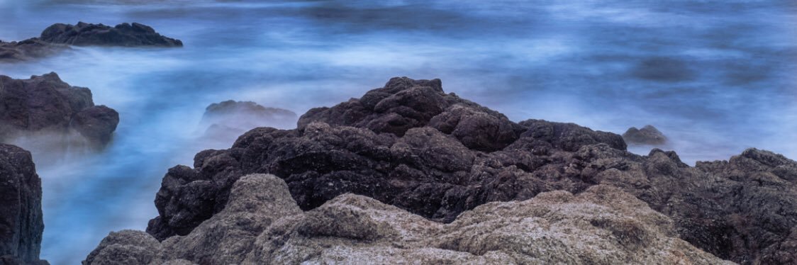 Harrison Waddell banner