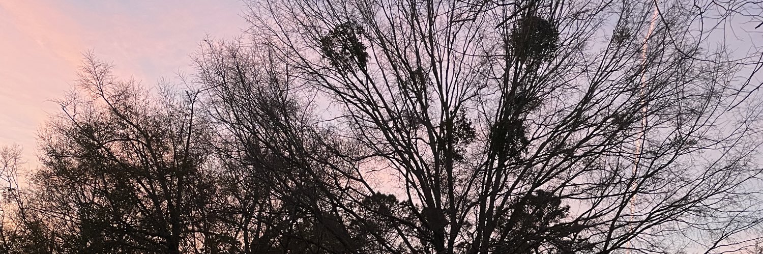 mackenzieyoudd's profile banner image