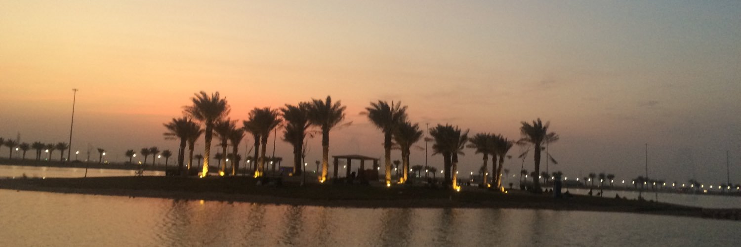 alde7mee's profile banner image