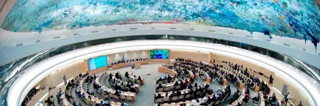 Cecilie Figens Bakke banner