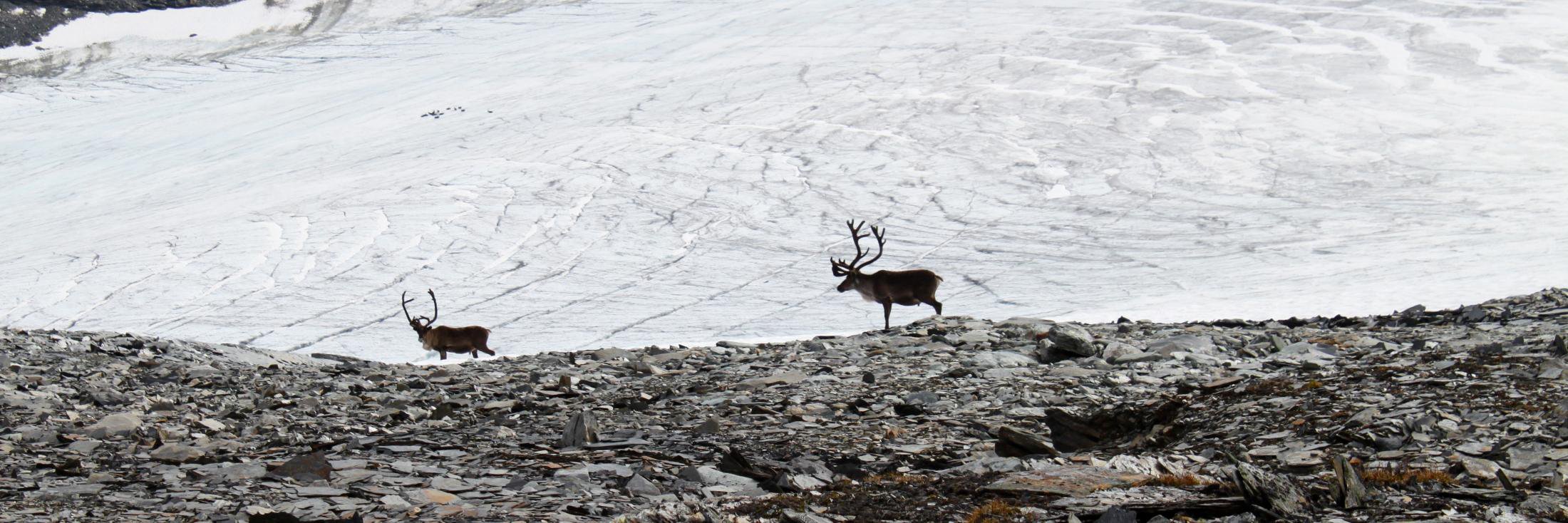 Hannеs Hauswedell | mastodon.social/@__h2__ banner