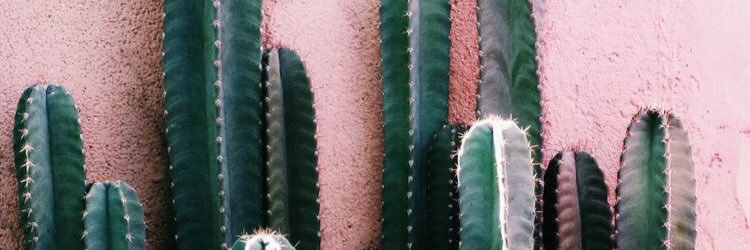 ayseyesiildag's profile banner image