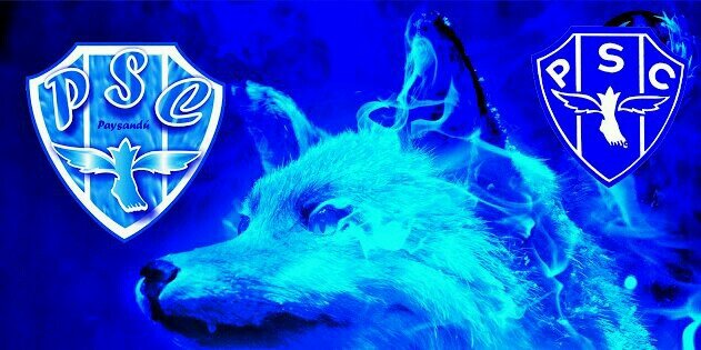 binhobaia's profile banner image