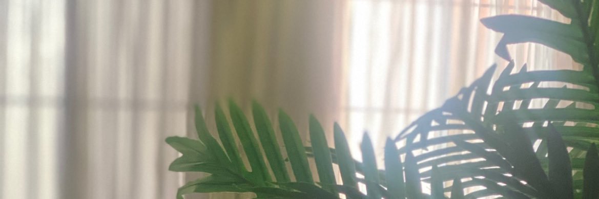 غاده القايدي🧩 banner
