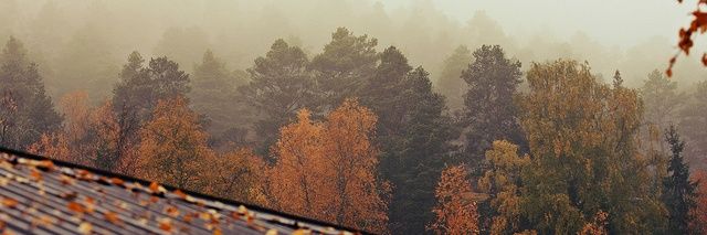 SidraAfaq's profile banner image