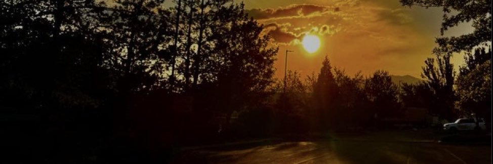 veronicathrower's profile banner image